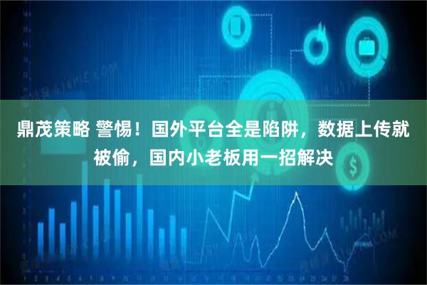 鼎茂策略 警惕！国外平台全是陷阱，数据上传就被偷，国内小老板用一招解决