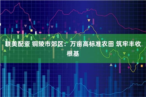 联美配资 铜陵市郊区:万亩高标准农田 筑牢丰收根基