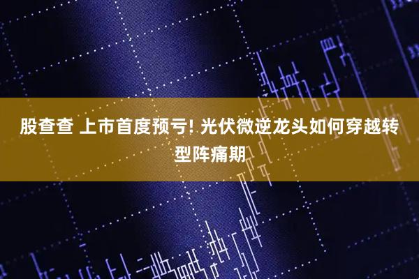 股查查 上市首度预亏! 光伏微逆龙头如何穿越转型阵痛期