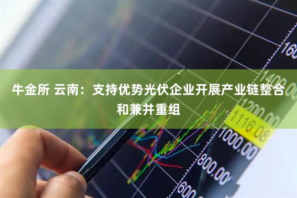 牛金所 云南：支持优势光伏企业开展产业链整合和兼并重组