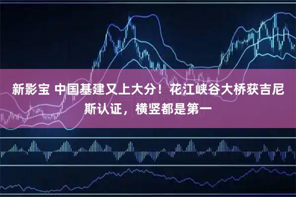 新影宝 中国基建又上大分！花江峡谷大桥获吉尼斯认证，横竖都是第一