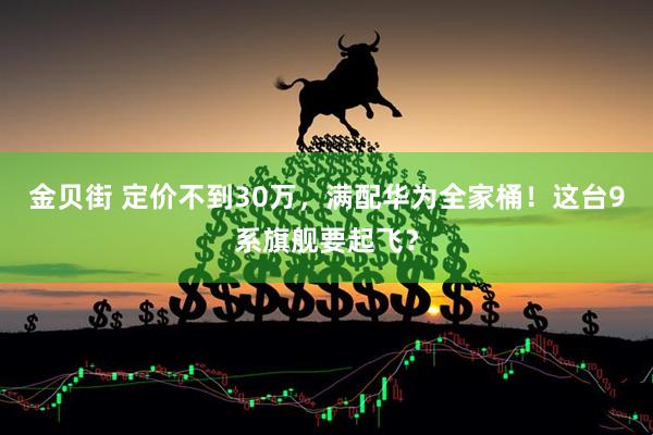 金贝街 定价不到30万，满配华为全家桶！这台9系旗舰要起飞？